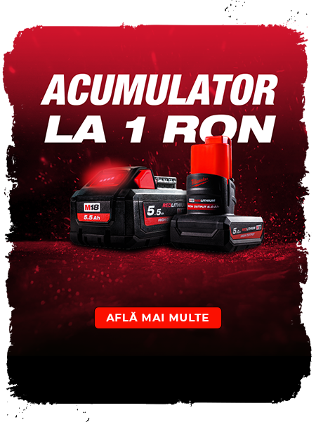 Acumulator la 1 ron