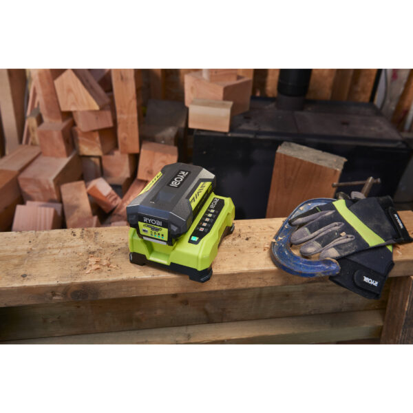 Încărcător rapid 36V MAX POWER™ RY36C60A - imagine 5