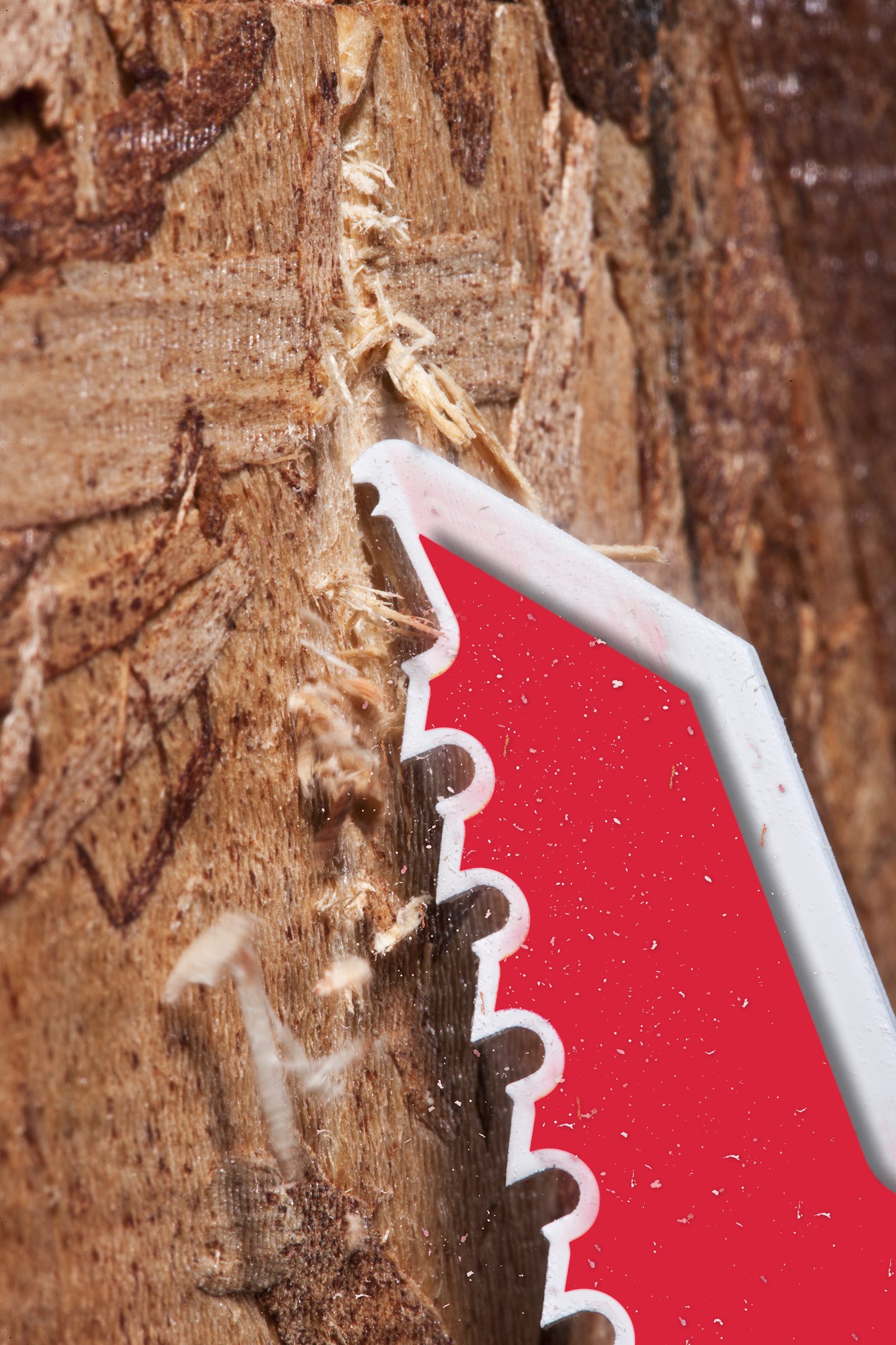 Lemn cu cuie: Pânze Heavy Duty AX pentru lucrări de demolare 25 buc Milwaukee 48008021 - in utilizare 1