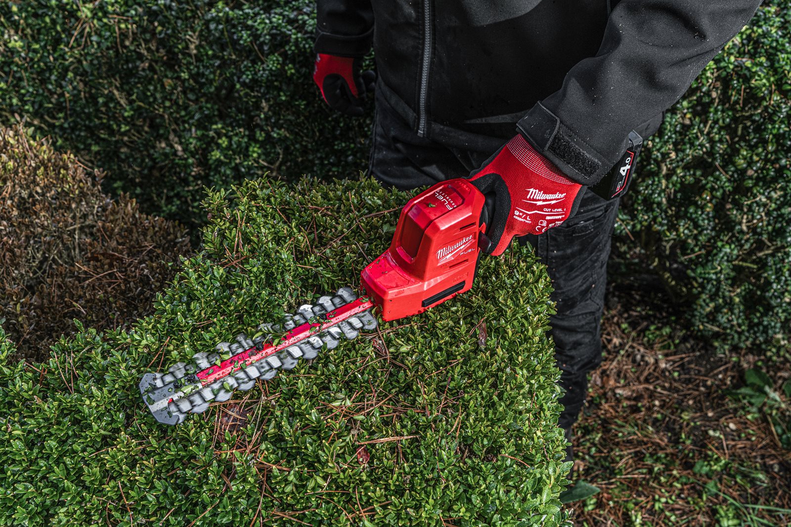 Trimmer pentru gard viu 20 cm M12 FUEL Milwaukee M12 FHT20-0 - in utilizare 2