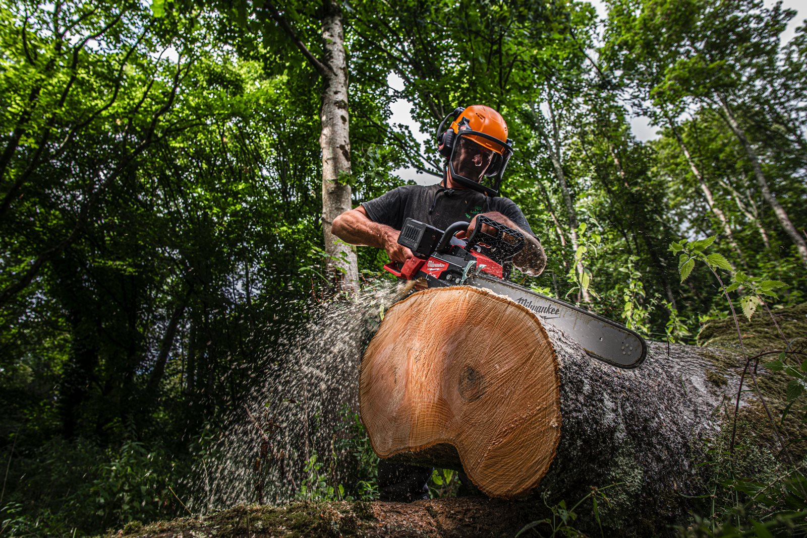 Fierăstrău cu lanț cu 2 acumulatori M18 FUEL 50 cm Milwaukee M18 F2CHS50-0 - in utilizare 1