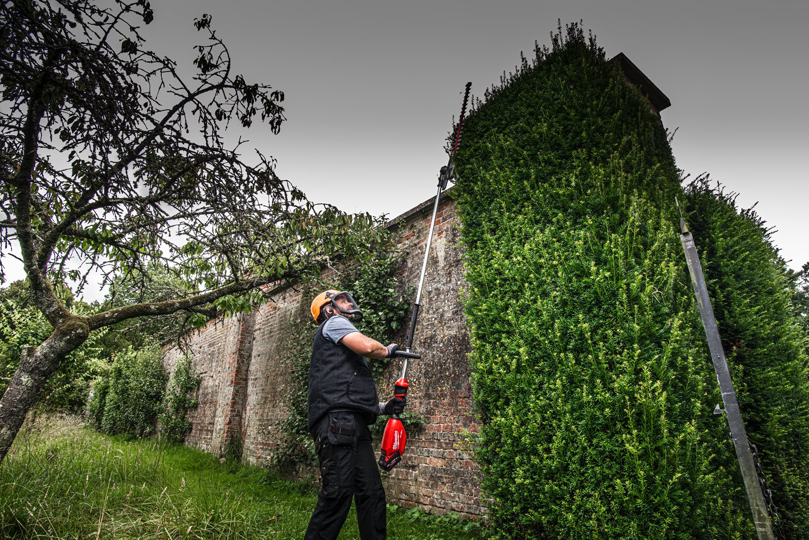 Trimmer pentru gard viu cu tijă extensibilă M18 FUEL 267 cm Milwaukee M18 FHETE27-0 - in utilizare 1