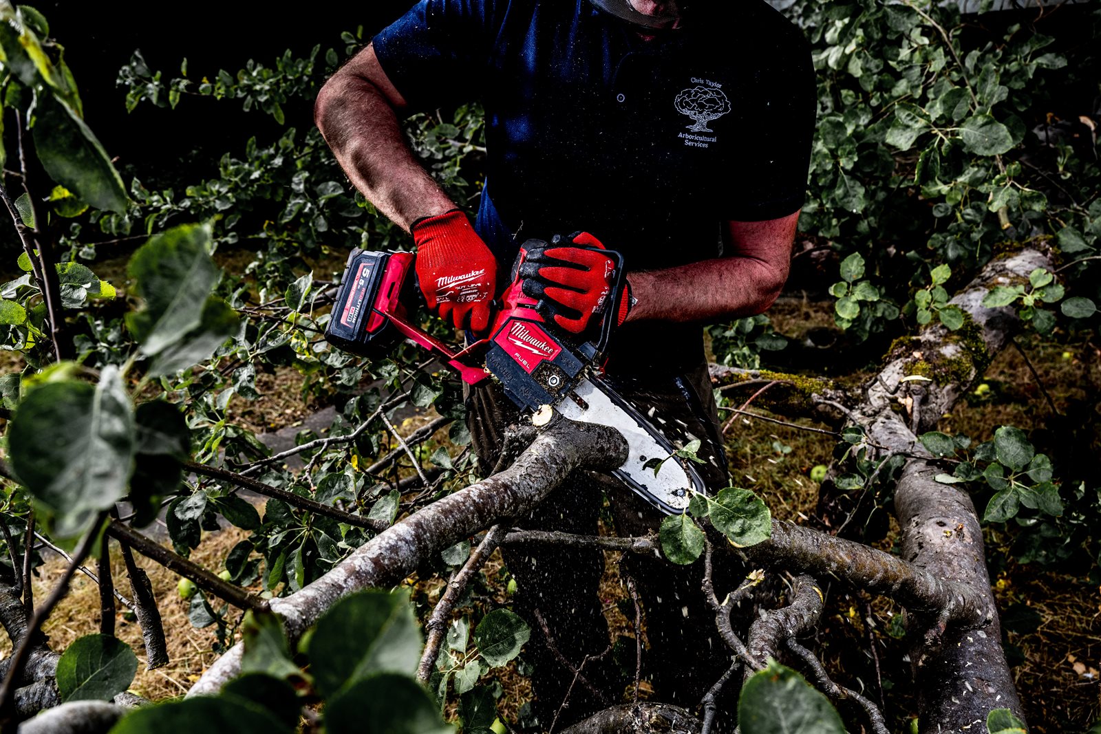 Fierăstrău curățare crengi M18 FUEL HATCHET 20 cm Milwaukee M18 FHS20-0 - in utilizare 2