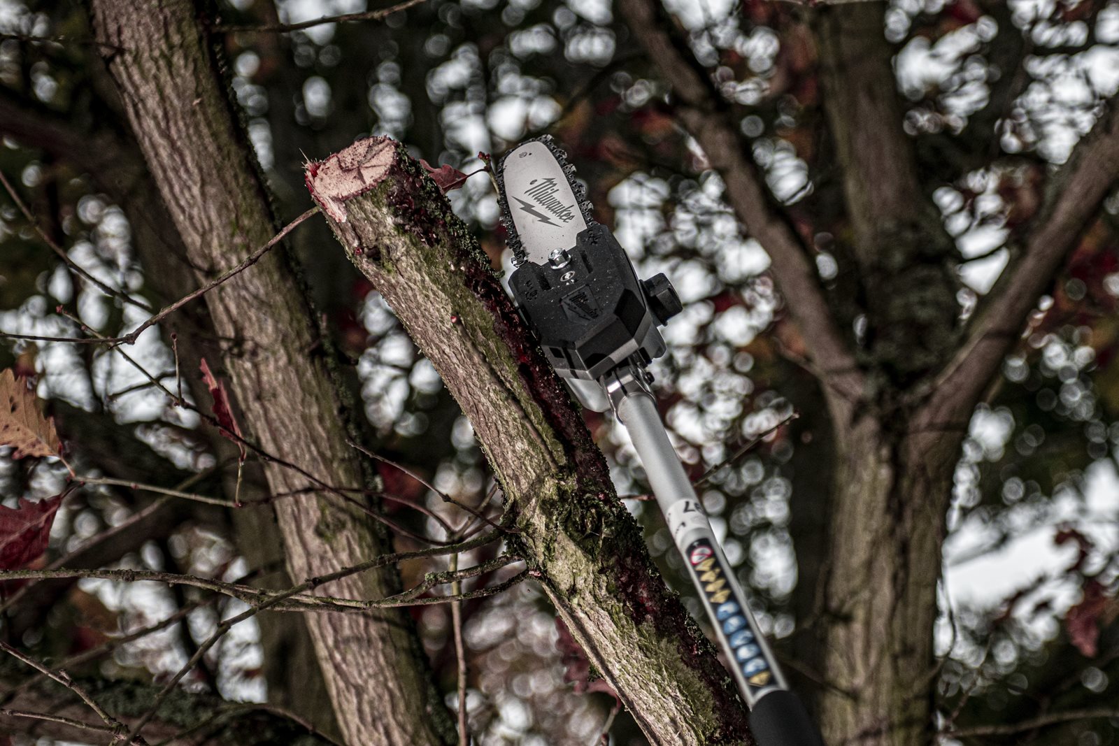Atașament fierăstrău emondor QUIK-LOK Milwaukee M18 FOPH-CSA - in utilizare 10