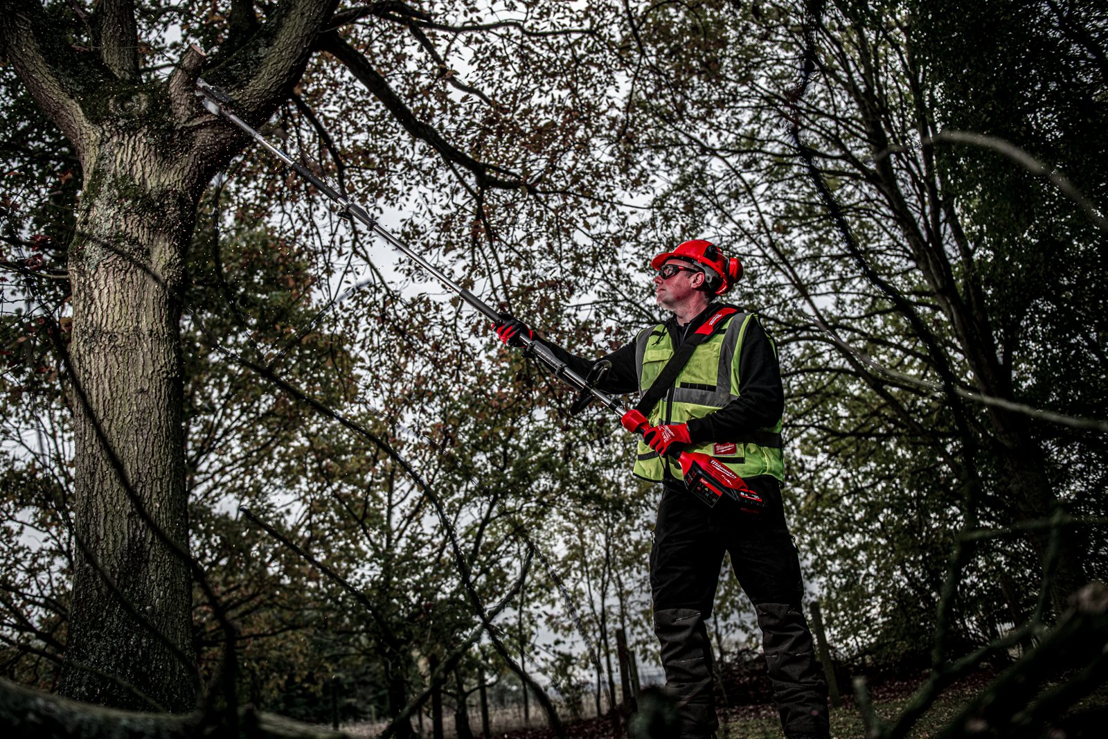 Atașament fierăstrău emondor QUIK-LOK Milwaukee M18 FOPH-CSA - in utilizare 5