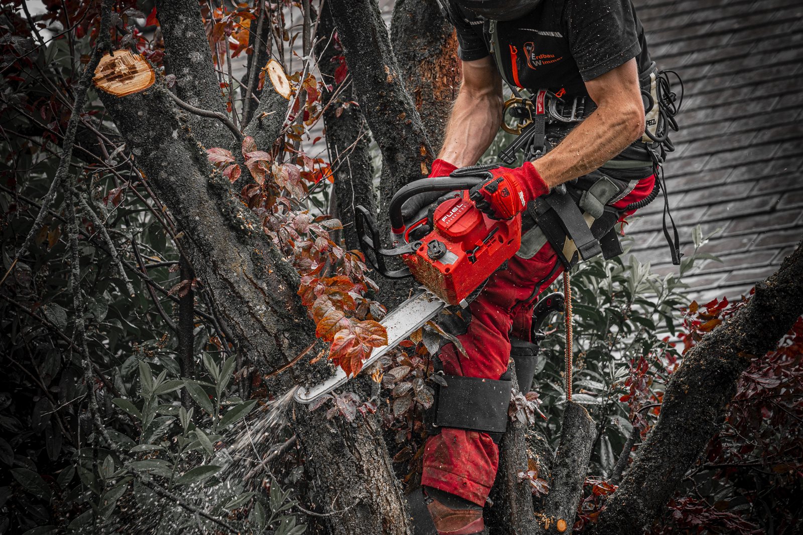 Fierăstrău top handle cu lanț M18 FUEL 35 cm Milwaukee M18 FTHCHS35-0 - in utilizare 2