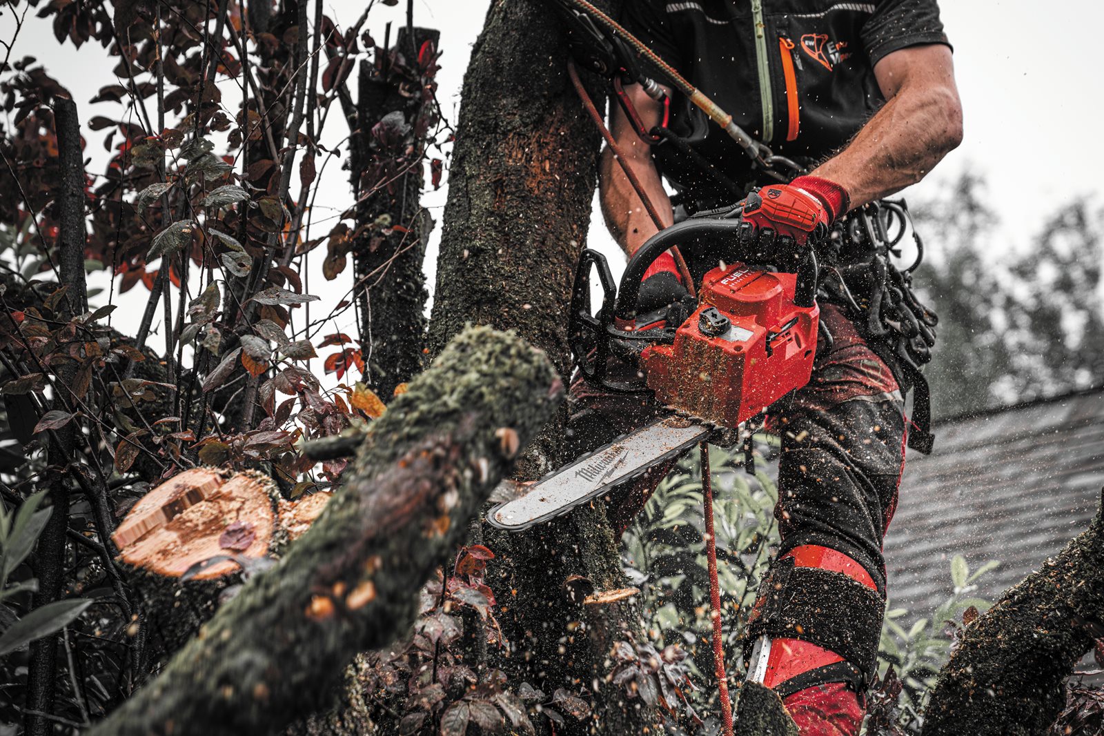 Fierăstrău top handle cu lanț M18 FUEL 35 cm Milwaukee M18 FTHCHS35-0 - in utilizare 3