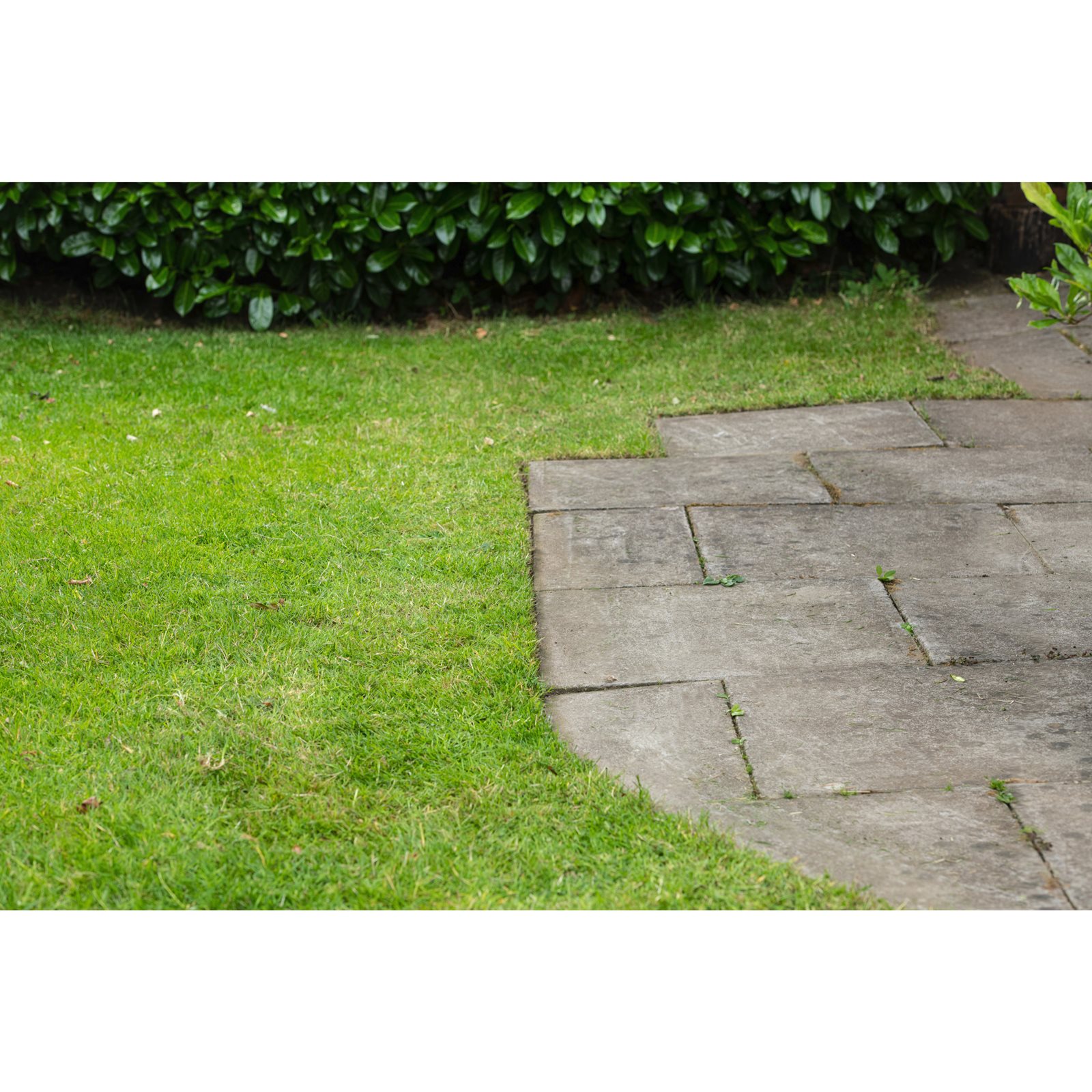Trimmer pentru marginea peluzei 18V ONE+ Ryobi RY18EGA-0 - in utilizare 1
