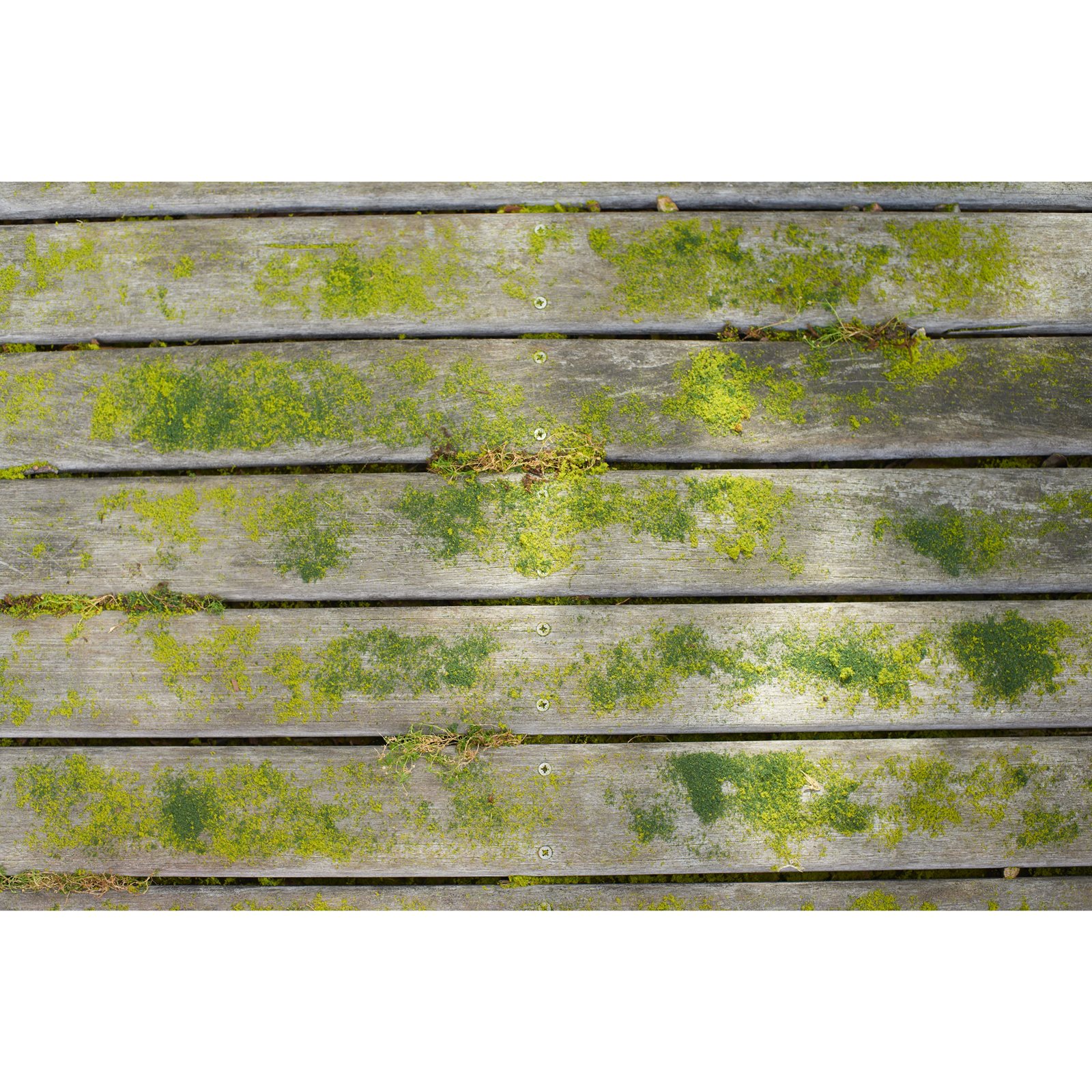 Curățător pardoseli cu perie universală 18V ONE+ Ryobi RY18PCB-0 - detaliu 2