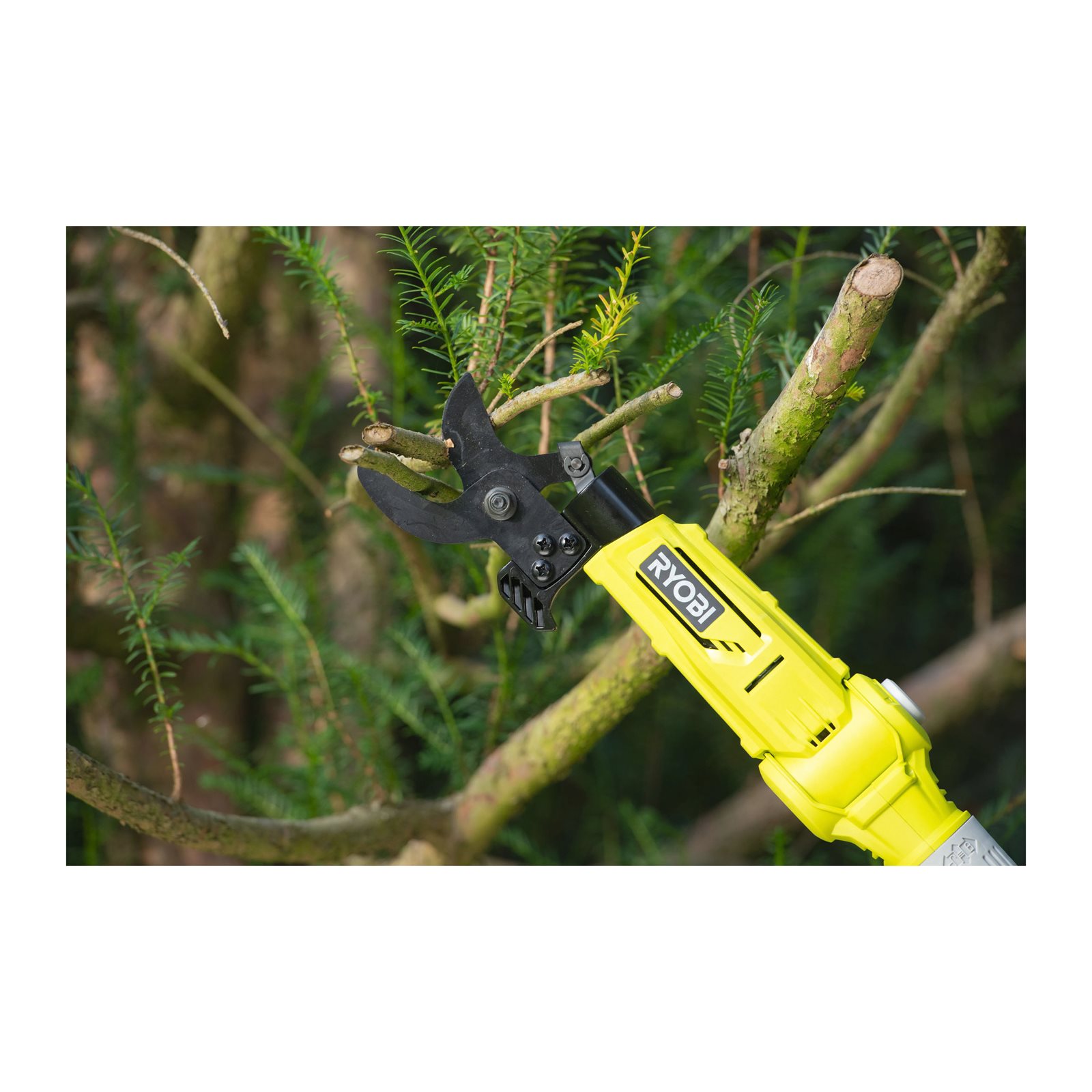 Foarfecă pentru crengi telescopică 18V ONE+ Ryobi RY18PLA-0 - in utilizare 1