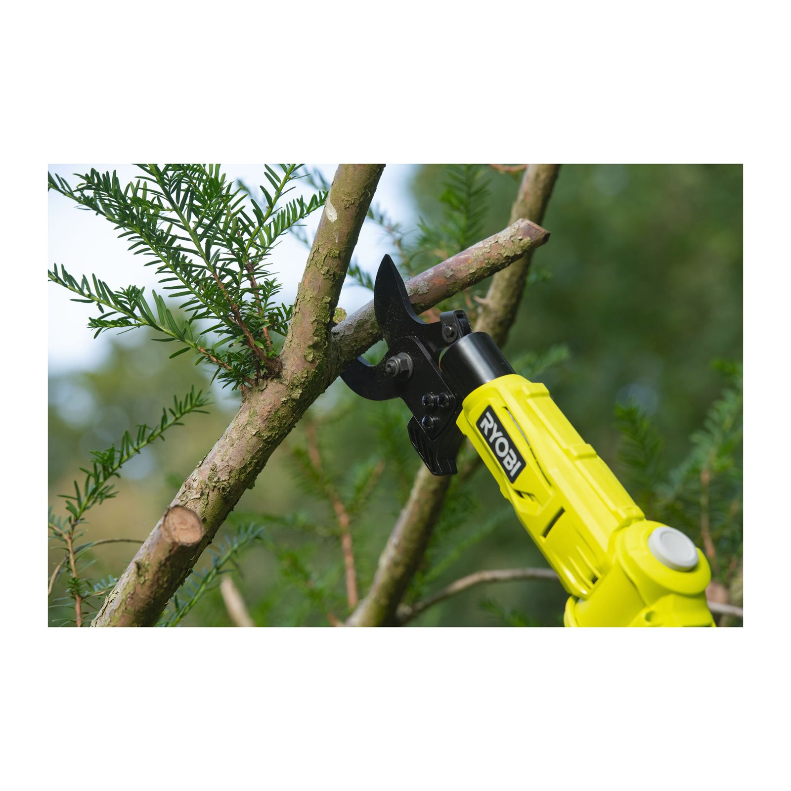 Foarfecă pentru crengi telescopică 18V ONE+ Ryobi RY18PLA-0 - in utilizare 3