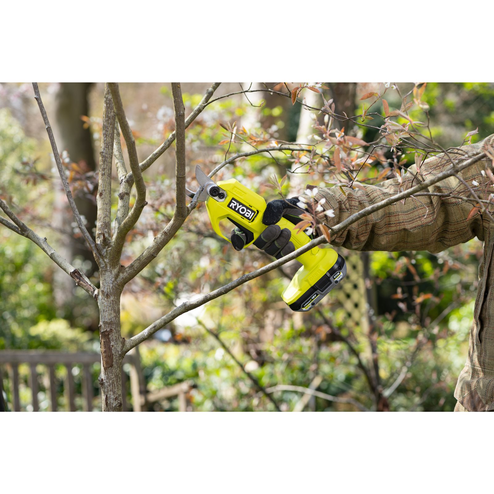 Foarfecă de grădină 18V ONE+ Ryobi RY18SCA-0 - in utilizare 3
