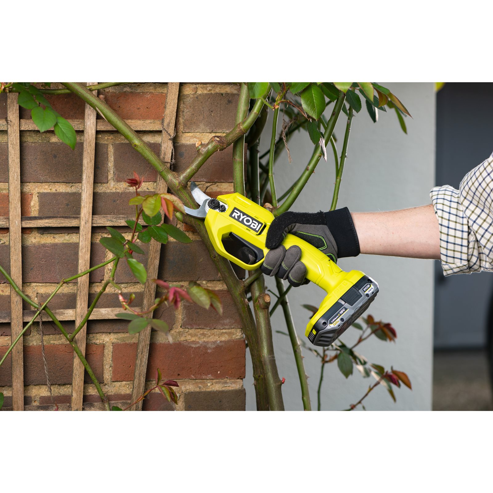 Foarfecă de grădină 18V ONE+ Ryobi RY18SCA-0 - in utilizare 6