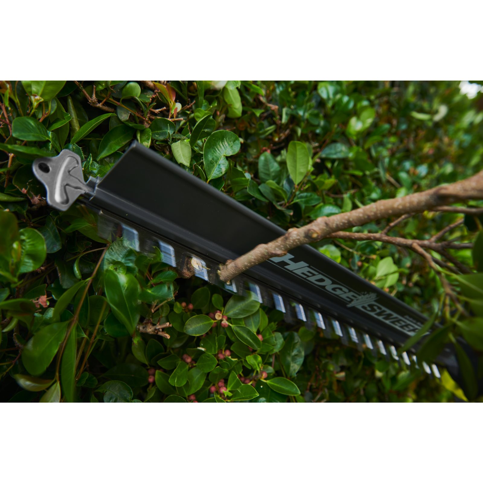 Foarfeci pentru tuns gard viu Ryobi RY36HT60A-120 - in utilizare 5